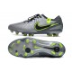 Cheap Nike Tiempo Legend 10 Elite FG Silver Green Black Green Low Soccer Shoes Sale